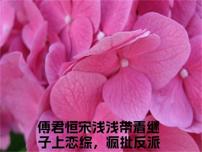 【完整版】（傅君恒宋浅浅小说带着继子上恋综，疯批反派连夜回家）精彩小说全本资源免费阅读结局无删节_带着继子上恋综，疯批反派连夜回家全章节阅读