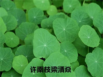 许南枝梁清焱免费小说 许南枝梁清焱在线阅读免费大结局