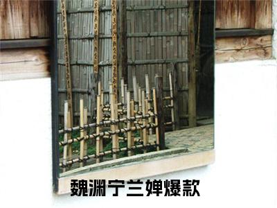 魏渊宁兰婵（魏渊宁兰婵）全文免费阅读无弹窗大结局