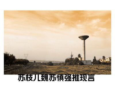 苏枝儿魏苏慎小说全文免费阅读_苏枝儿魏苏慎（苏枝儿魏苏慎）最新章节列表在线阅读