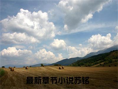 11（模拟犯罪：我成了最强神探）全文免费阅读无弹窗大结局_（模拟犯罪：我成了最强神探全文免费）苏铭最新章节列表（模拟犯罪：我成了最强神探）