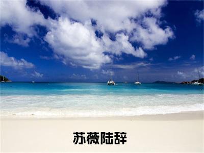 主角苏薇陆辞小说免费阅读全文苏薇陆辞-苏薇陆辞小说番外苏薇陆辞全文阅读