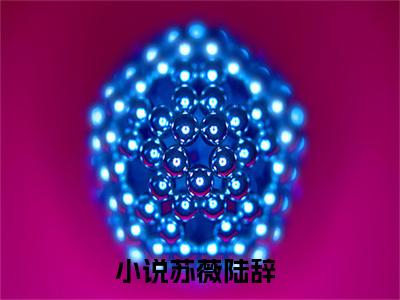 苏薇陆辞小说（苏薇陆辞）全文免费阅读无弹窗_苏薇陆辞小说最新章节免费阅读_笔趣阁