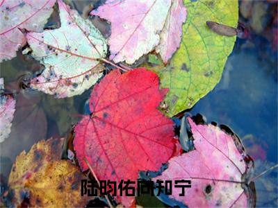 2023年爆款小说（陆昀佑向知宁）主角陆昀佑向知宁全文在线完本阅读