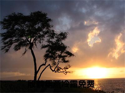 殷鹤年燕冷霜（殷鹤年燕冷霜）全文免费阅读无弹窗大结局_殷鹤年燕冷霜最新章节列表_笔趣阁
