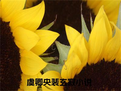 虞卿央裴玄寂（虞卿央裴玄寂）小说最后结局-（虞卿央裴玄寂）完结版免费阅读