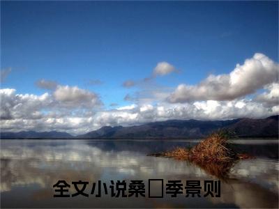 热门小说已完桑濛季景则小说无弹窗大结局_桑濛季景则全文阅读大结局