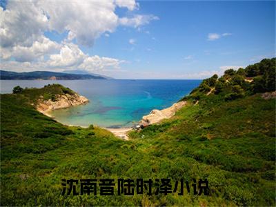沈南音陆时泽（沈南音陆时泽）无广告免费阅读-小说沈南音陆时泽最后结局如何