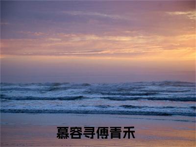 慕容寻傅青禾（慕容寻傅青禾）全文免费阅读大结局-慕容寻傅青禾小说全文免费阅读最新章节列表
