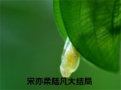 宋亦柔陆凡全文免费阅读-小说推荐宋亦柔陆凡精彩章节在线阅读