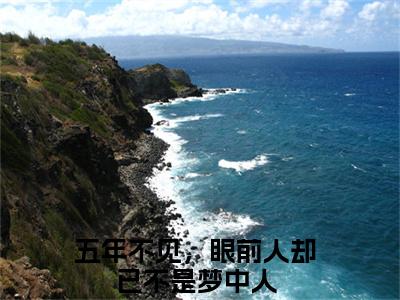 小说《木子易沈冉》全文免费阅读无弹窗-五年不见，眼前人却已不是梦中人小说全文在线赏析_笔趣阁