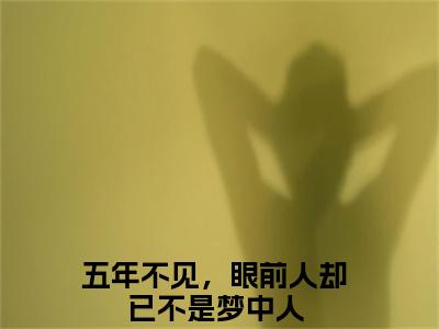 木子易沈冉(五年不见，眼前人却已不是梦中人)抖音热推小说全集无删减,五年不见，眼前人却已不是梦中人小说在线免费阅读大结局