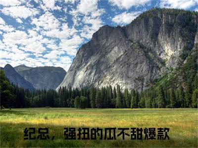 纪总，强扭的瓜不甜小说在线阅读顾小北纪宁无广告小说免费在线阅读