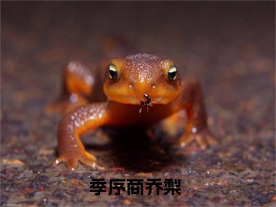 季序商乔梨小说热门全集在线观看 季序商乔梨免费章节试读