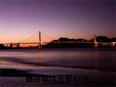 言情小说榜单魏言临沈玉安阅读全文（魏言临沈玉安）-魏言临沈玉安完整版免费小说