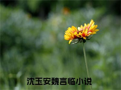 沈玉安魏言临全文（沈玉安魏言临）全文免费阅读无弹窗大结局_沈玉安魏言临免费最新章节列表_笔趣阁