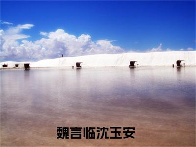 主角叫魏言临沈玉安的小说-魏言临沈玉安最新章节在线阅读