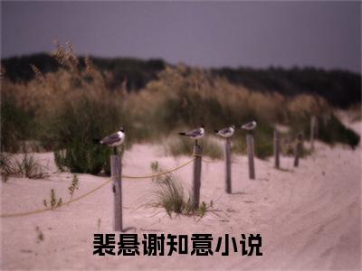 裴悬谢知意（裴悬谢知意）完整版小说阅读_裴悬谢知意全文免费阅读（裴悬谢知意）