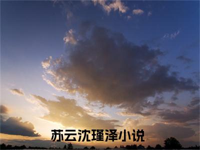 苏云沈瑾泽全文免费阅读（苏云沈瑾泽）全文免费阅读大结局_苏云沈瑾泽全文免费阅读无弹窗_笔趣阁