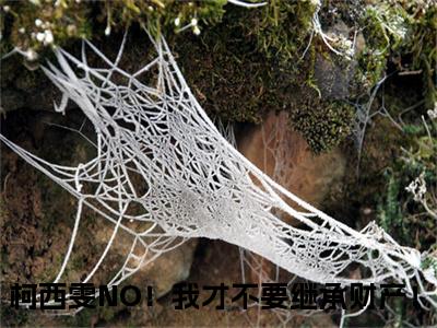 NO！我才不要继承财产！正版小说最新章节在线阅读-小说柯西雯NO！我才不要继承财产！已完结全集大结局