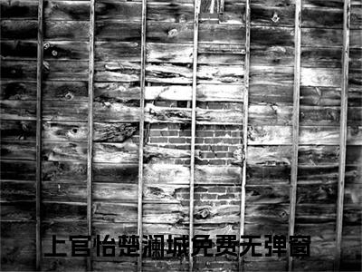 上官怡楚澜城小说推荐-上官怡楚澜城在线阅读全文