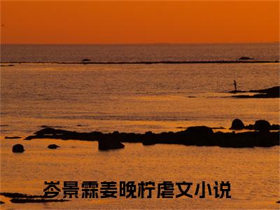 《岑景霖姜晚柠》全文免费阅读无弹窗大结局_岑景霖姜晚柠无弹窗全文阅读