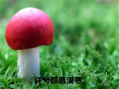许兮颜慕漠寒(许兮颜慕漠寒)全文阅读无弹窗大结局-许兮颜慕漠寒小说结局免费阅读_笔趣阁（许兮颜慕漠寒）