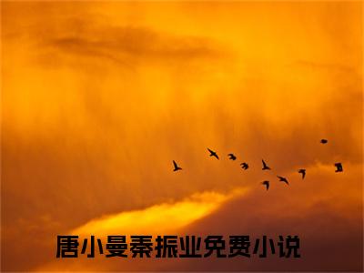 唐小曼秦振业（唐小曼秦振业）全文免费阅读无弹窗大结局_（唐小曼秦振业）最新章节列表笔趣阁（唐小曼秦振业）