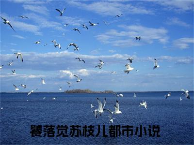 饕落觉苏枝儿（饕落觉苏枝儿）小说大结局全文免费阅读-饕落觉苏枝儿抖音小说