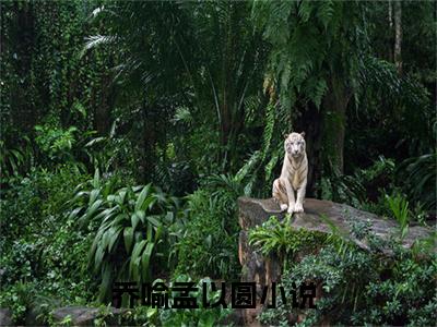 乔喻孟以圆小说（乔喻孟以圆）全文免费阅读无弹窗大结局_（乔喻孟以圆）乔喻孟以圆最新章节列表笔趣阁（乔喻孟以圆）