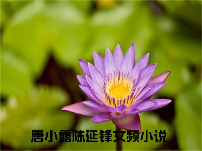 唐小露陈延锋小说免费下载阅读_(唐小露陈延锋)唐小露陈延锋最新章节列表_笔趣阁（唐小露陈延锋）