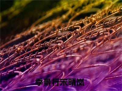 微小说（季景行宋晴岚）-（季景行宋晴岚）全文免费阅读