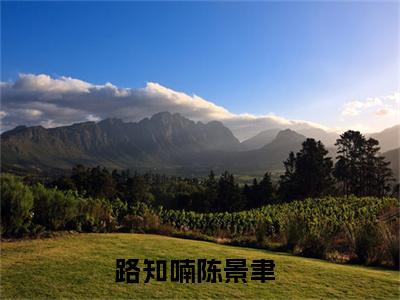 路知喃陈景聿全文免费阅读无弹窗大结局_ (路知喃陈景聿)最新章节列表笔趣阁