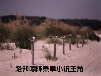 路知喃陈景聿(路知喃陈景聿)小说免费阅读大结局无弹窗_(路知喃陈景聿)最新章节列表笔趣阁（路知喃陈景聿）