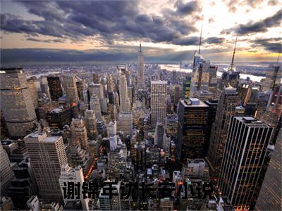 皇后不争宠，只想卷死全后宫（谢锦年沈长安）免费阅读_谢锦年沈长安小说免费阅读-笔趣阁