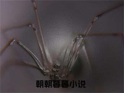 谢时晏柳朝意（朝朝暮暮）全文免费阅读无弹窗大结局_（谢时晏柳朝意阅读无弹窗）朝朝暮暮最新章节列表_笔趣阁（谢时晏柳朝意）