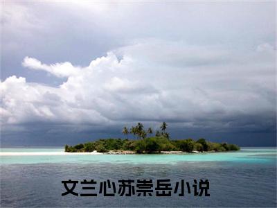 文兰心苏崇岳（文兰心苏崇岳）全文免费阅读无弹窗大结局_（文兰心苏崇岳）文兰心苏崇岳免费阅读最新章节列表笔趣阁（文兰心苏崇岳）