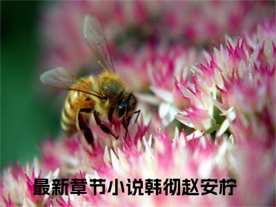 韩彻赵安柠小说叫什么-韩彻赵安柠全文阅读