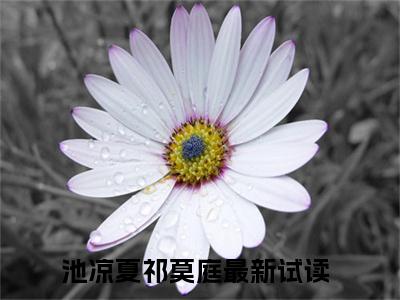 池凉夏祁莫庭（池凉夏祁莫庭全文免费）全文免费阅读_池凉夏祁莫庭全文免费阅读无弹窗最新章节列表_笔趣阁（池凉夏祁莫庭）