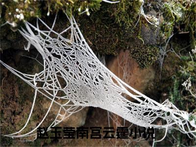 赵玉莹南宫云霆阅读无弹窗大结局_（赵玉莹南宫云霆阅读无弹窗）最新章节列表_笔趣阁（赵玉莹南宫云霆）