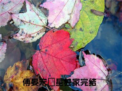 傅晏宋婠星：傅晏宋婠星阅读无弹窗大结局_（傅晏宋婠星阅读无弹窗）最新章节列表_笔趣阁（傅晏宋婠星）