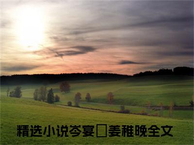 岑宴琤姜稚晚（岑宴琤姜稚晚）全文免费阅读无弹窗大结局_岑宴琤姜稚晚完本小说最新章节阅读