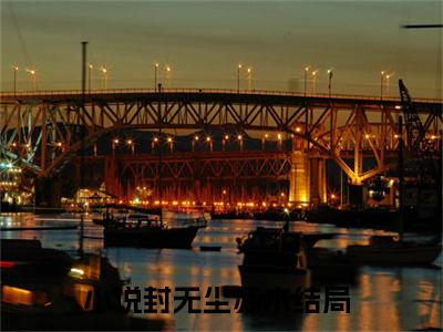 封无尘苏木免费小说 封无尘苏木在线阅读免费大结局