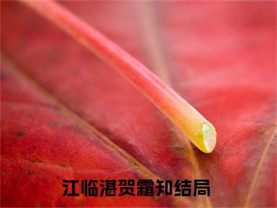 全章节完整《江临湛贺霜知》全文阅读《江临湛贺霜知》