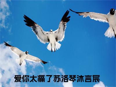 爱你太痛了（苏洛琴沐言宸）小说全文无删减版_爱你太痛了最新章节列表_笔趣阁（苏洛琴沐言宸）