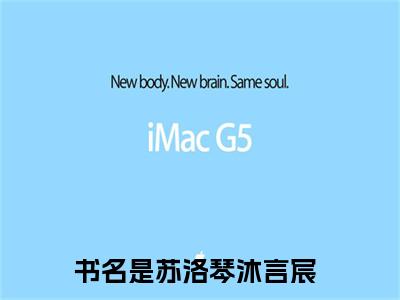 爱你太痛了全文全文免费阅读_（苏洛琴沐言宸免费阅读无弹窗）苏洛琴沐言宸全文最新章节列表笔趣阁（爱你太痛了）