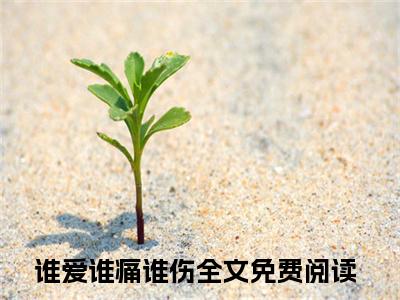 谁爱谁痛谁伤（霍西城夏木乔）全文在线阅读无弹窗大结局_(霍西城夏木乔谁爱谁痛谁伤免费阅读全文大结局)最新章节列表_笔趣阁（霍西城夏木乔）