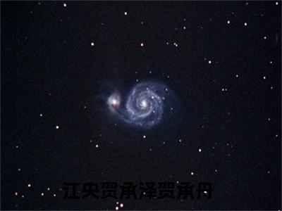 江央贺承泽贺承舟全文免费阅读无弹窗大结局-江央贺承泽贺承舟最新章节免费阅读