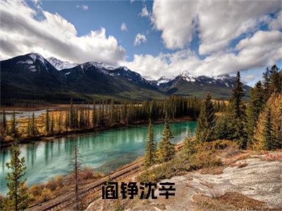 阎铮沈辛(阎铮沈辛小说)全文免费阅读无弹窗大结局_阎铮沈辛小说免费阅读最新章节列表_笔趣阁（阎铮沈辛小说）