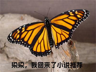 染染，我回来了（言染苏御）正版小说最新章节在线阅读_（言染苏御全文免费阅读无弹窗）